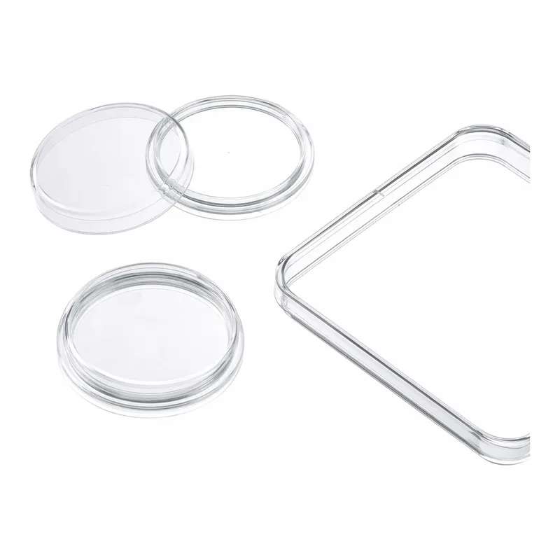 Merck Greiner dishes