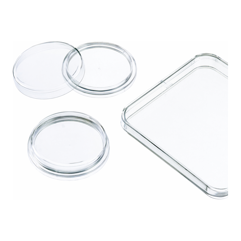 Merck Greiner dishes