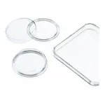 Merck Greiner dishes