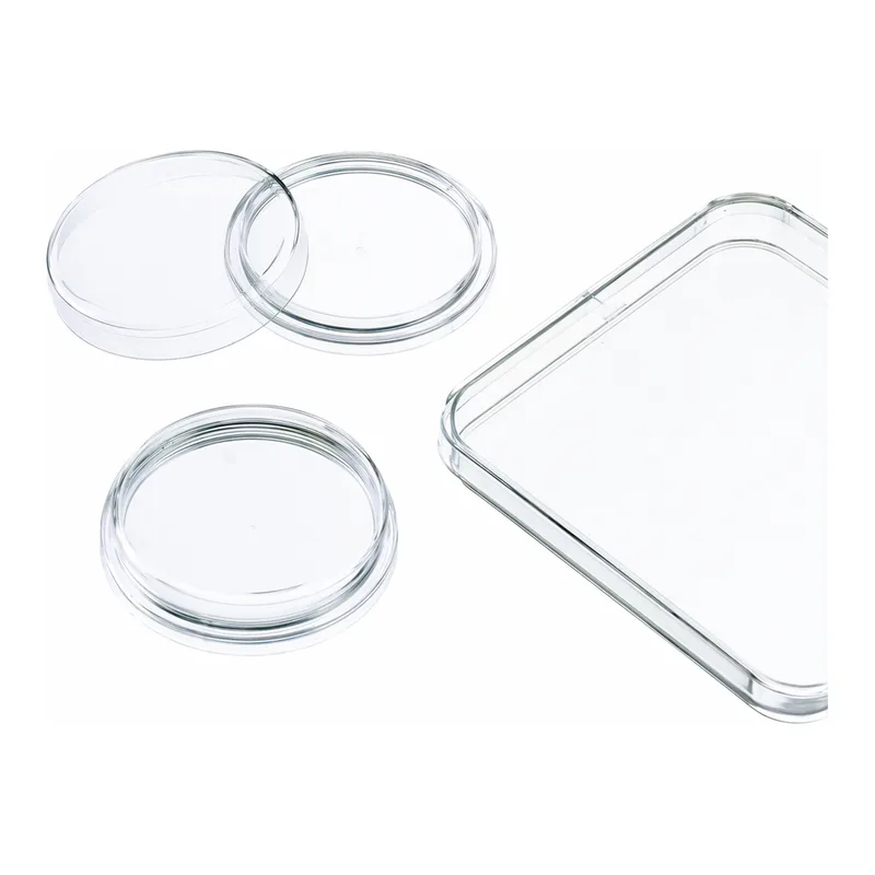 Merck Greiner dishes