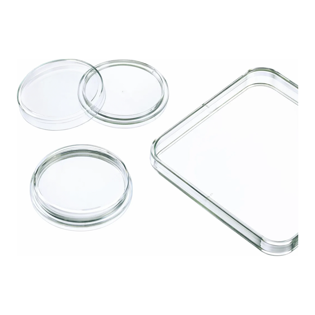 Merck Greiner dishes
