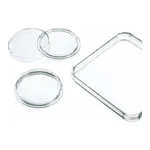 Merck Greiner dishes