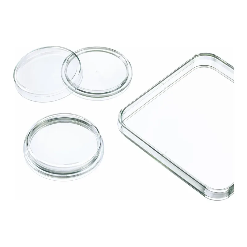 Merck Greiner dishes