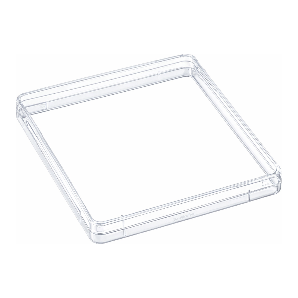 Merck Nunc Bioassay Dish