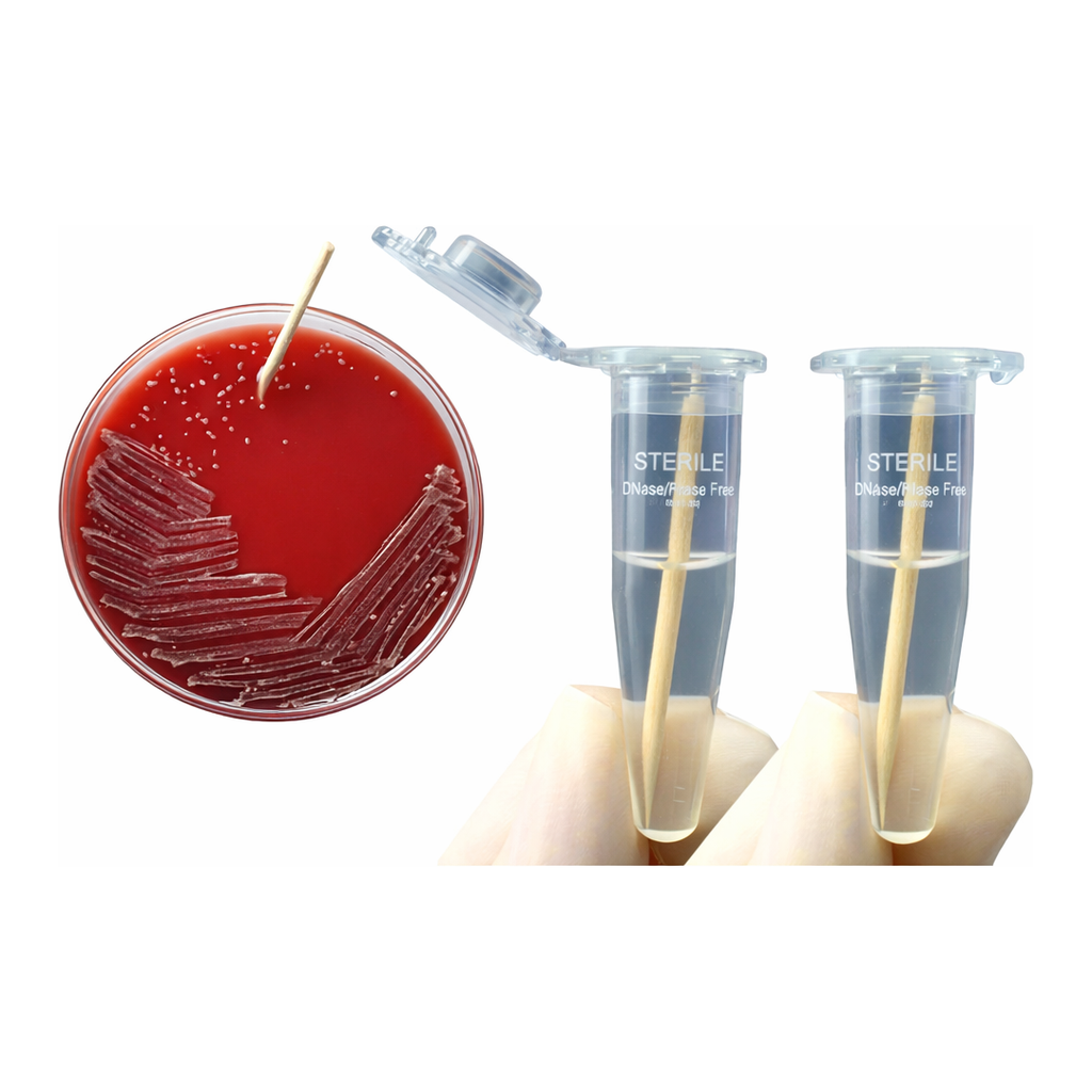 Merck smartPick Wooden inoculation picks