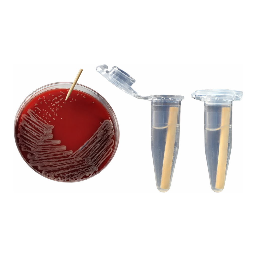 Merck smartPick Wooden inoculation picks
