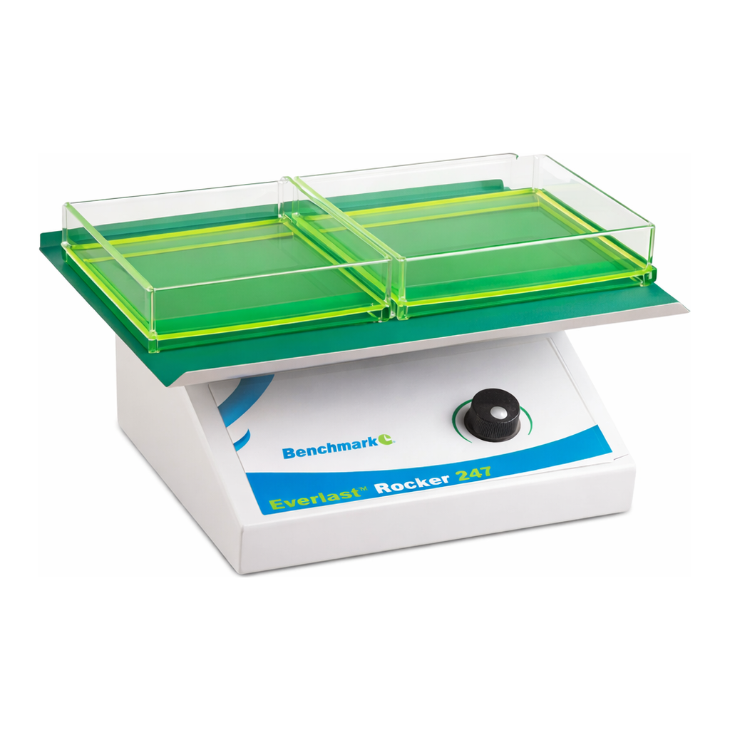 Merck Everlast rocker with flat mat