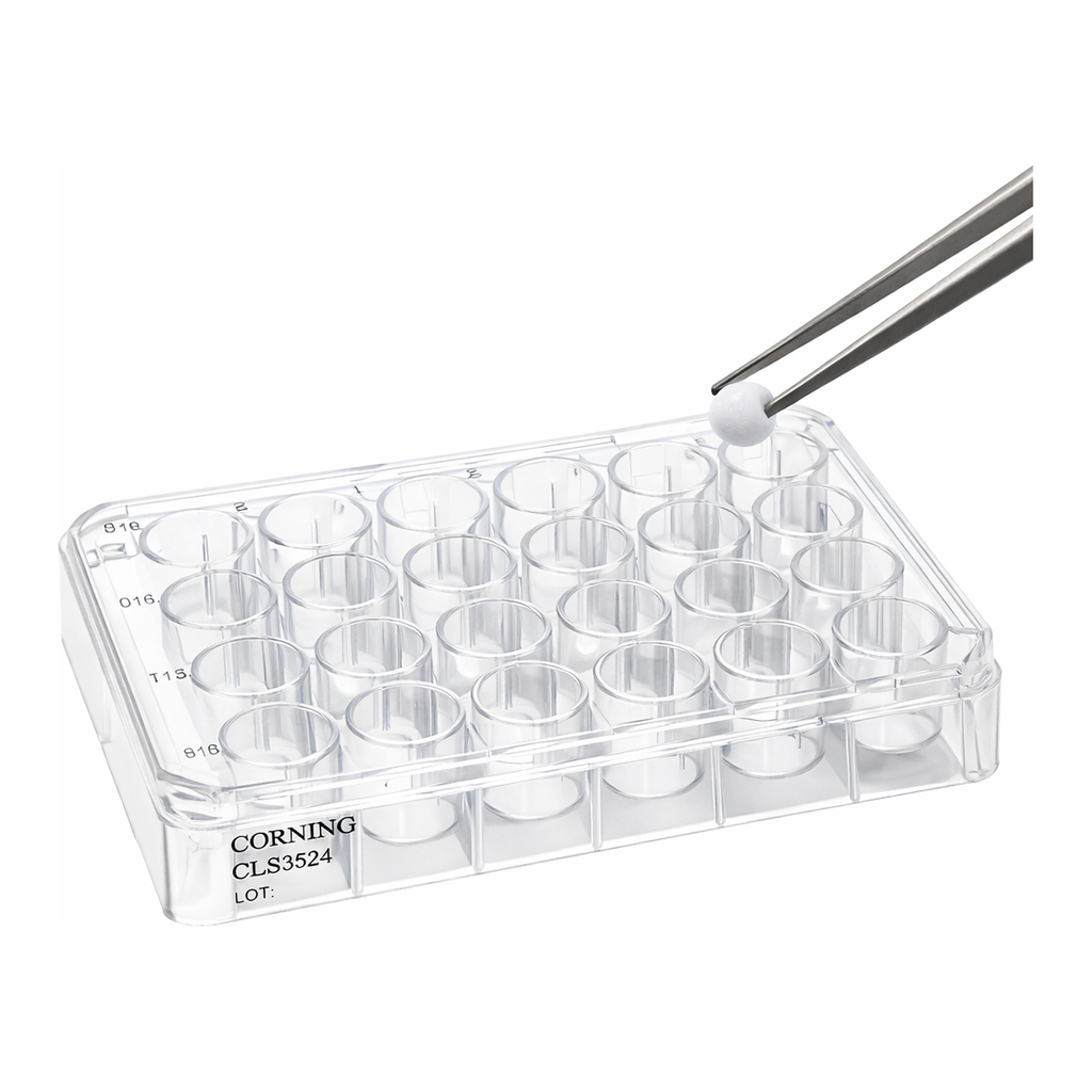 Merck Cellusponge-Collagen