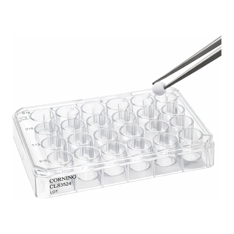 Merck Cellusponge-Collagen