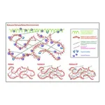 Merck HyStem-C Cell Culture Scaffold Kit