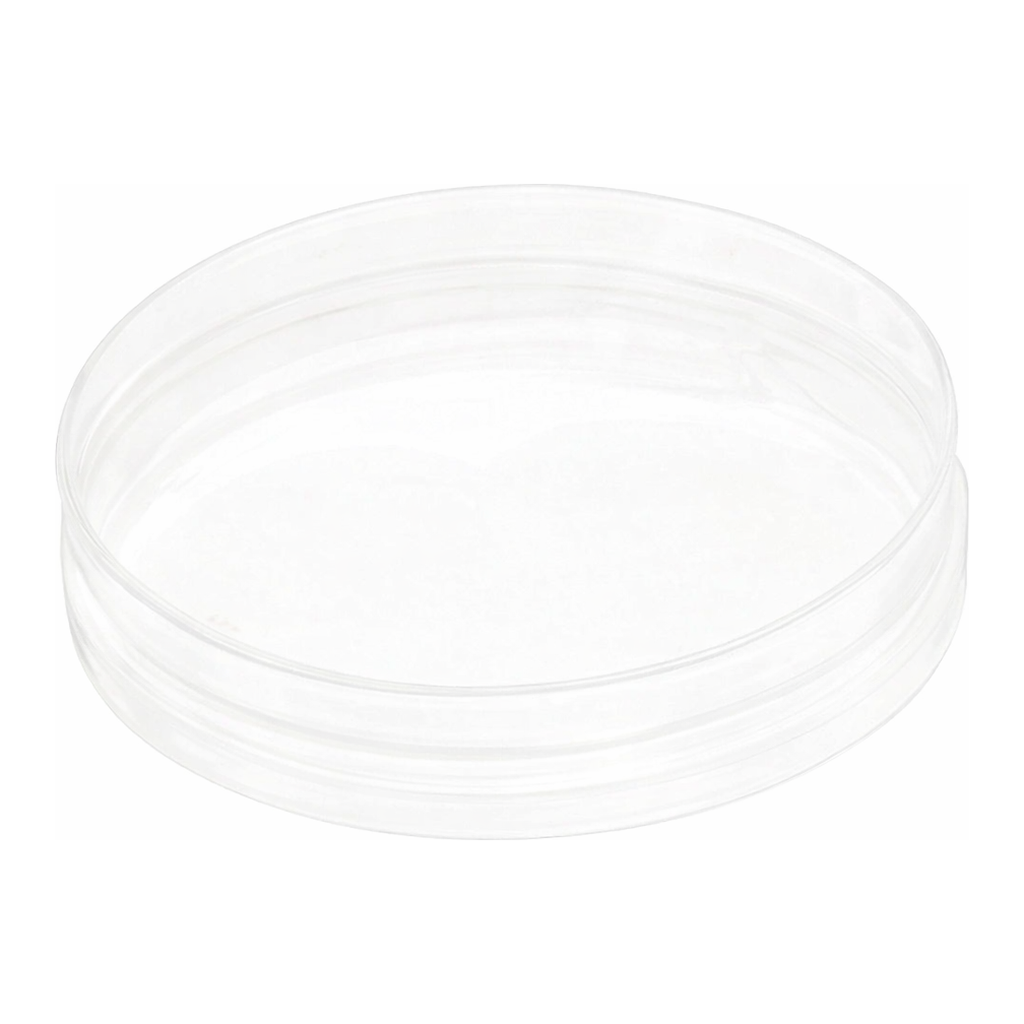 Merck Nanofiber cell culture dish, with random oriented nanofibers