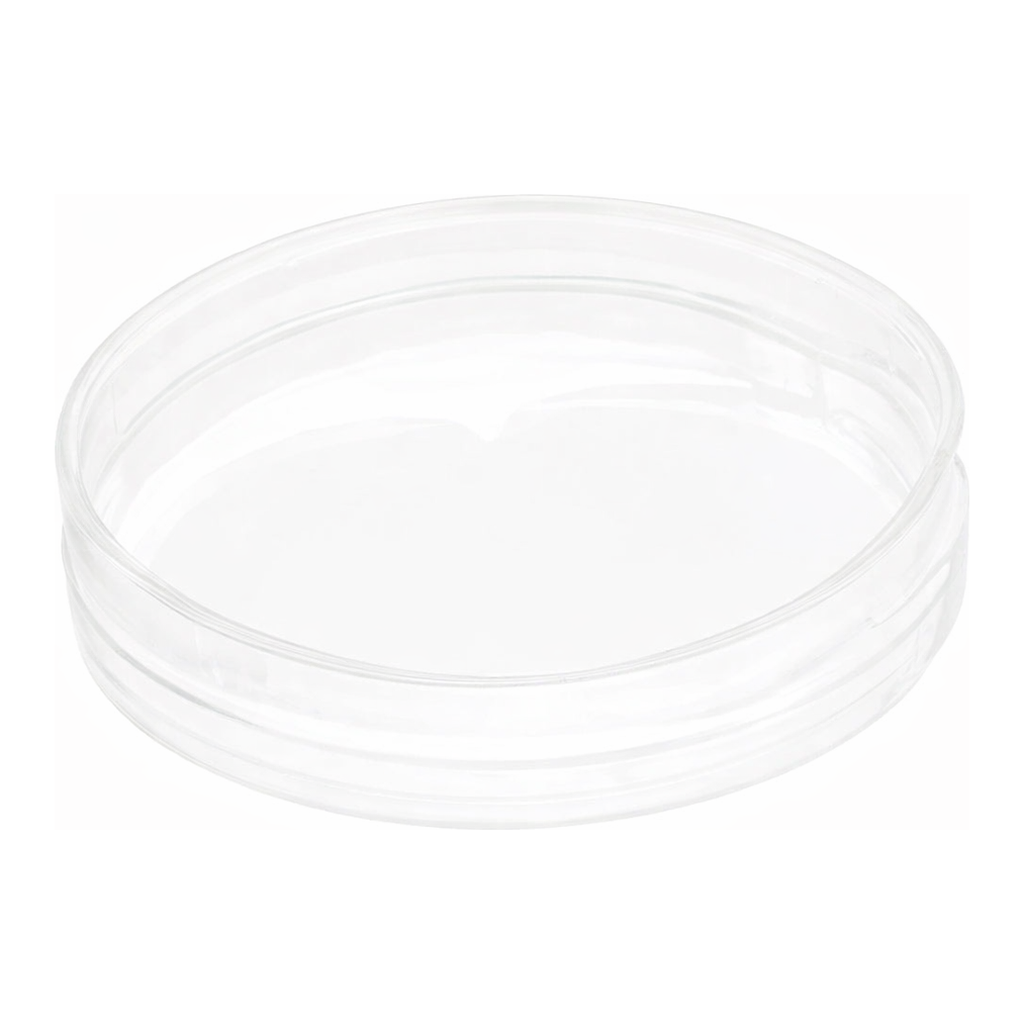 Merck Nanofiber cell culture dish, with aligned nanofibers