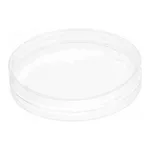 Merck Nanofiber cell culture dish, with aligned nanofibers