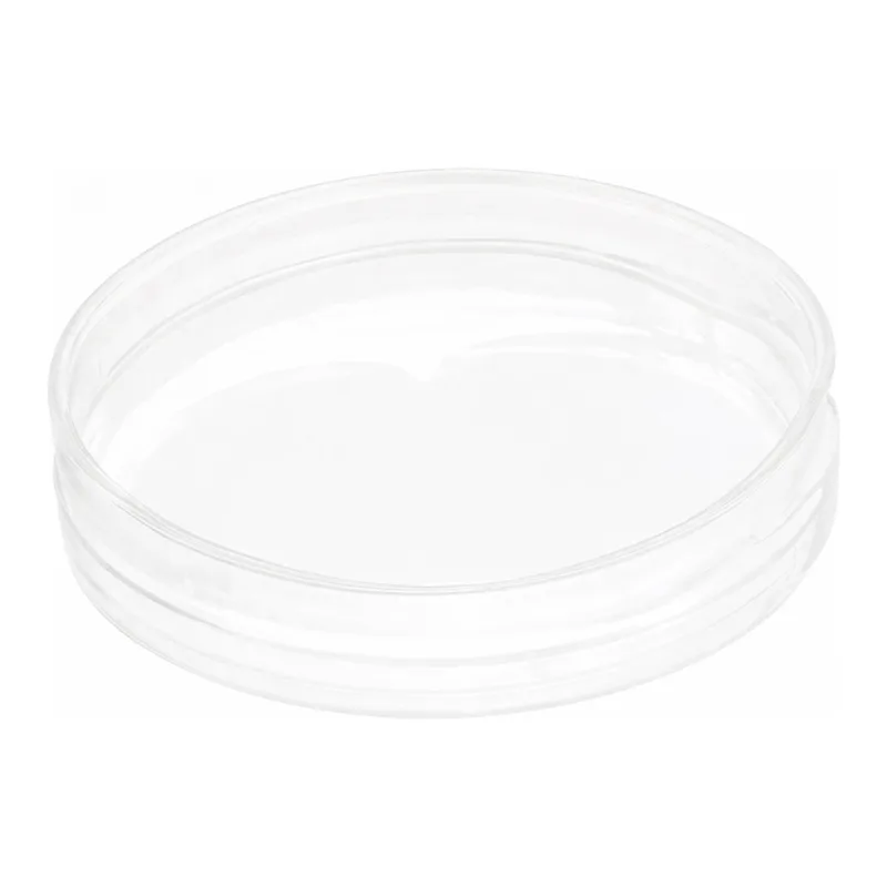 Merck Nanofiber cell culture dish, with aligned nanofibers