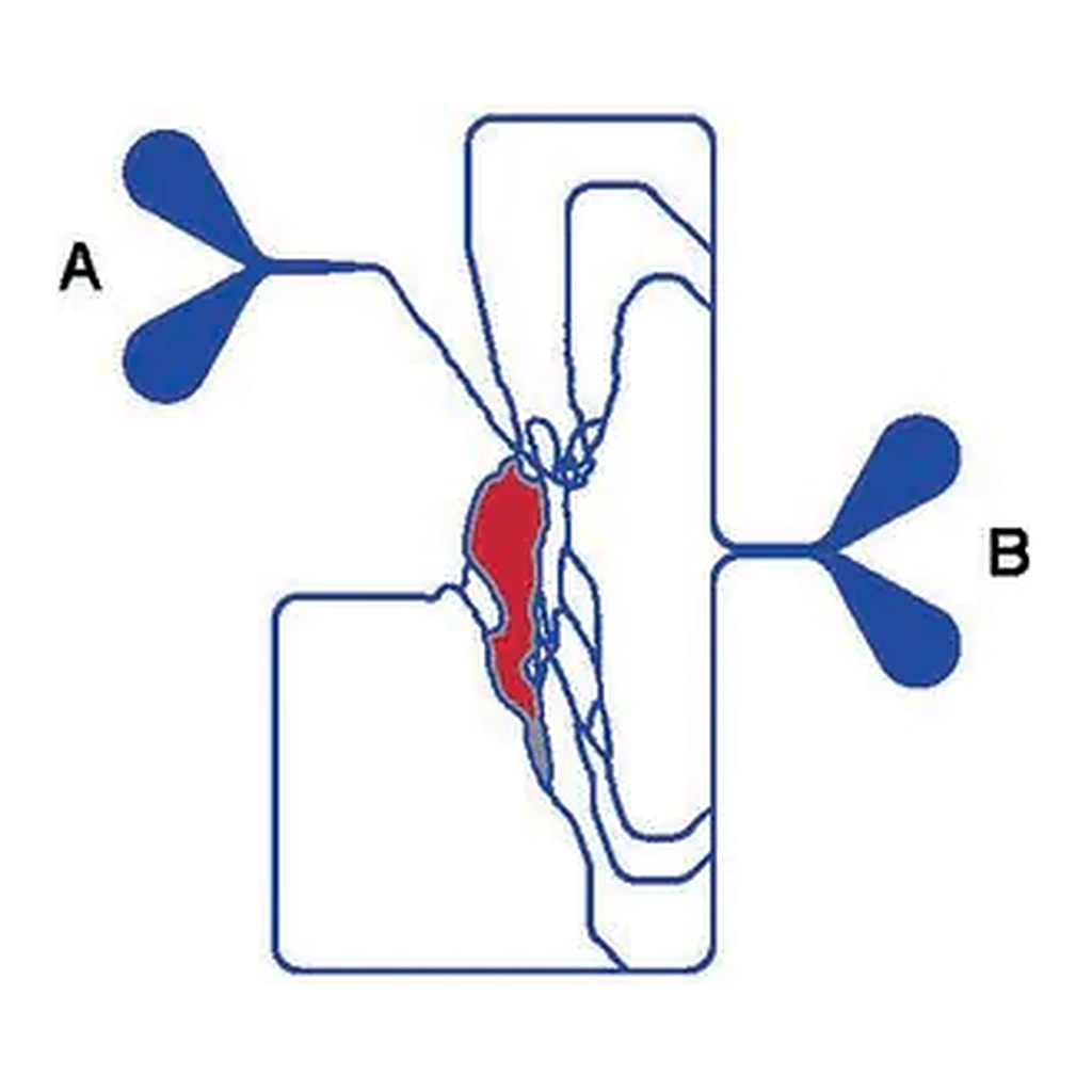Merck SynVivo idealized design SynTumor 3D cancer model chip