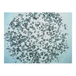 Merck 3dGRO Colon Intestinal Organoids, Age 46 (14-881-CR)