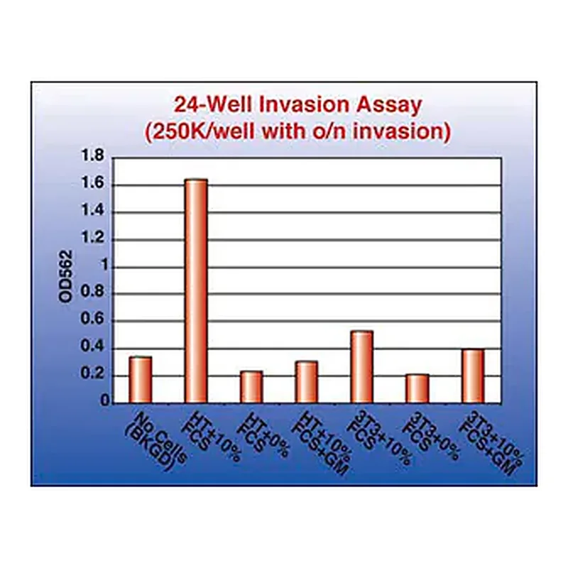 Merck QCM Collagen Cell Invasion Assay, 24-well (8 µm), Colorimetric