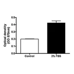Merck QCM Endothelial Cell Invasion Assay (24 well, colorimetric)