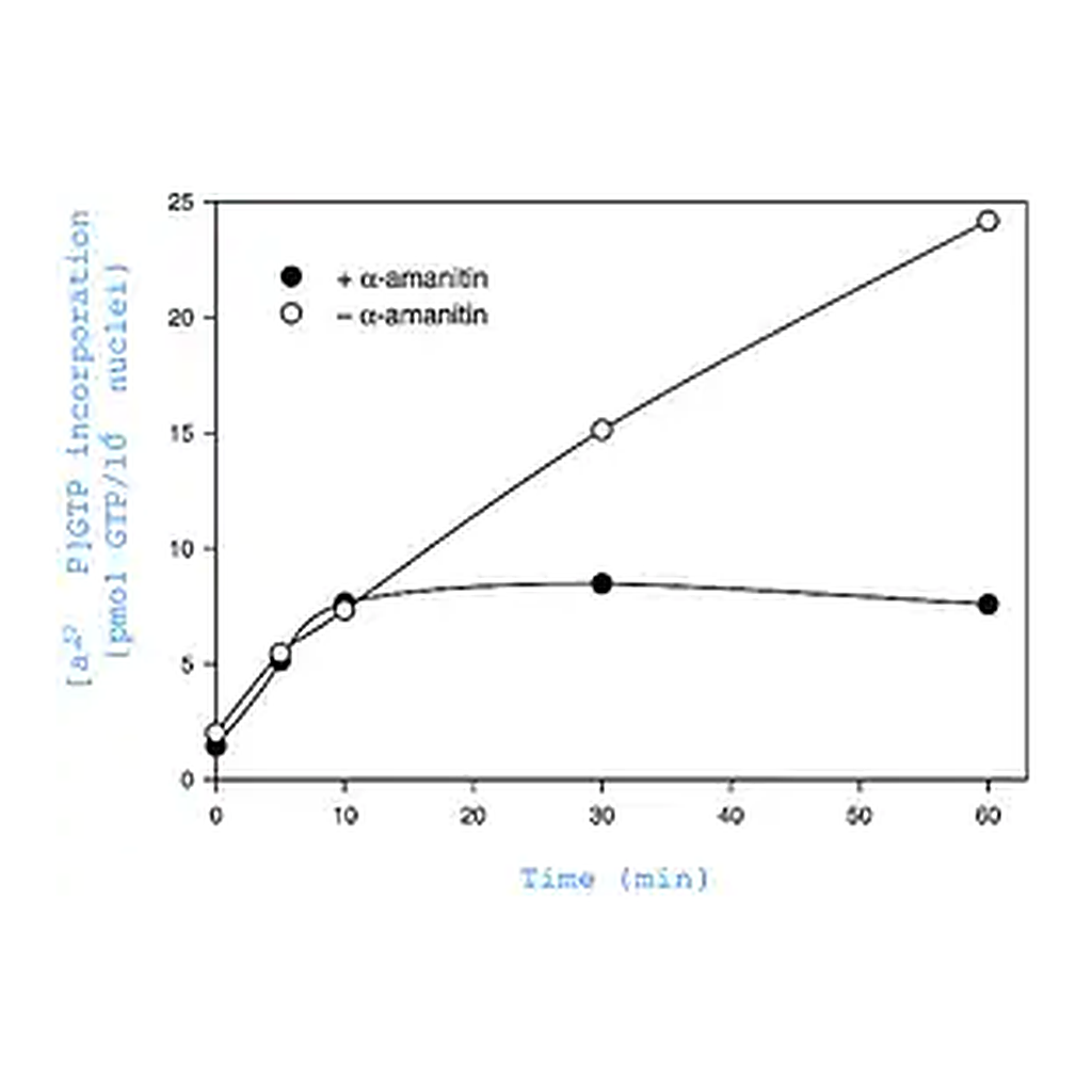 Merck Nuclei Isolation Kit: Nuclei EZ Prep