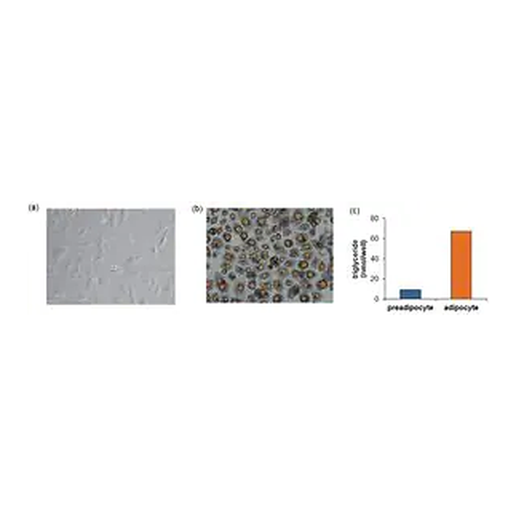 Merck 3T3-L1 DIFFERENTIATION KIT