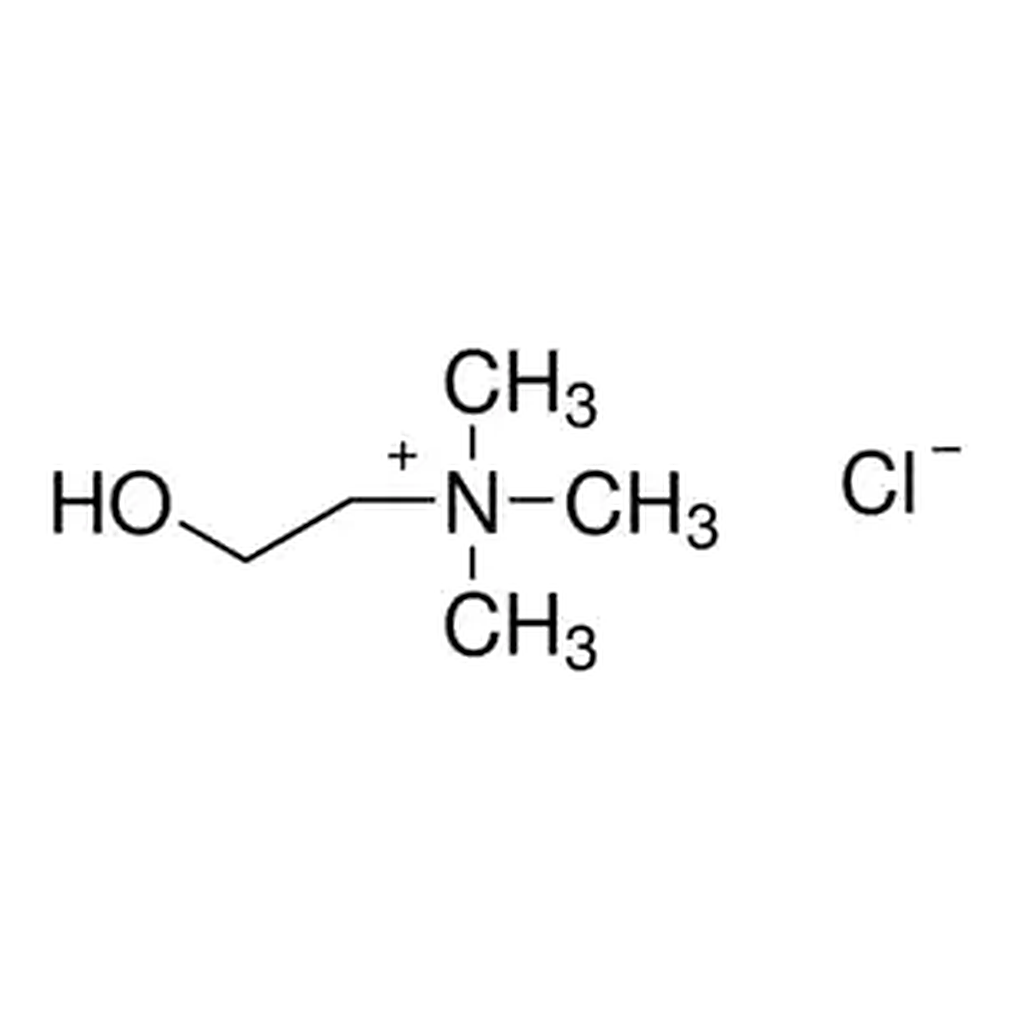 Merck Choline chloride