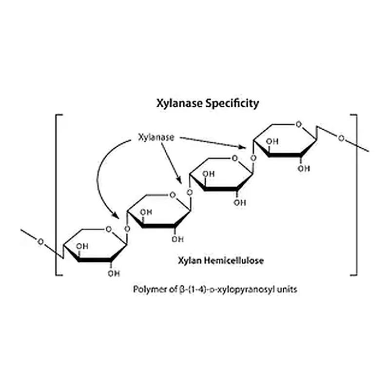 Merck Driselase Basidiomycetes sp.
