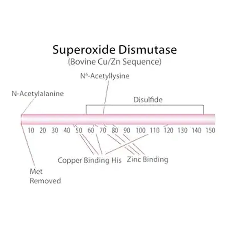 Merck Superoxide Dismutase from bovine erythrocytes