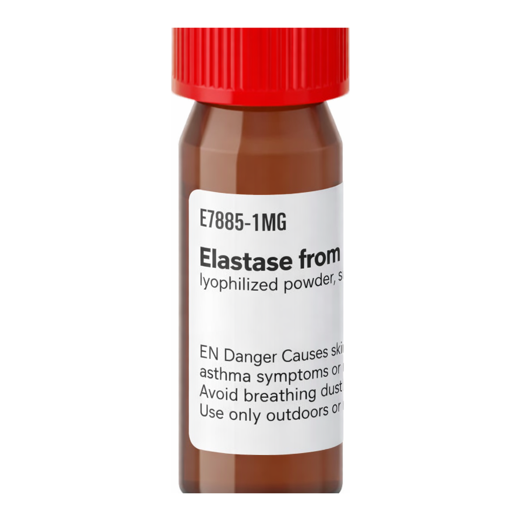 Merck Elastase from porcine pancreas