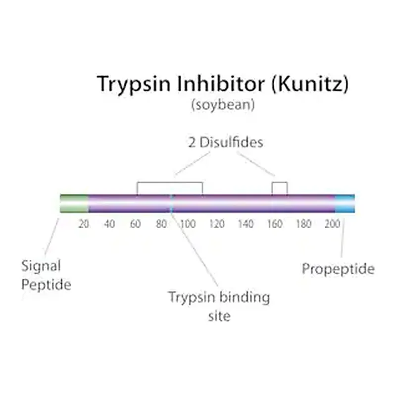 Merck Trypsin inhibitor from Glycine max (soybean)
