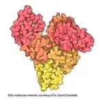 Merck Bovine Serum Albumin