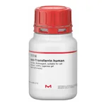 Merck apo-Transferrin human