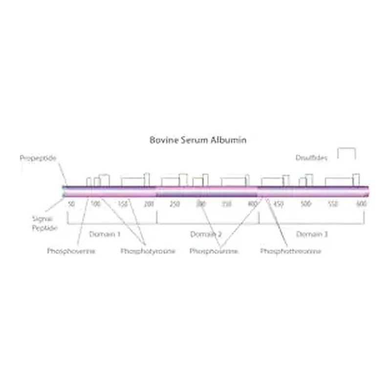 Merck Bovine Serum Albumin