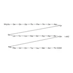 Merck Glucagon