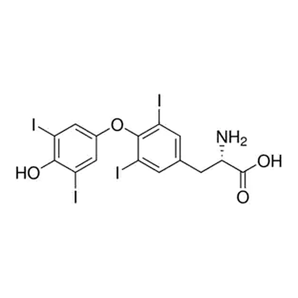Merck L-Thyroxine