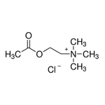 Merck Acetylcholine chloride