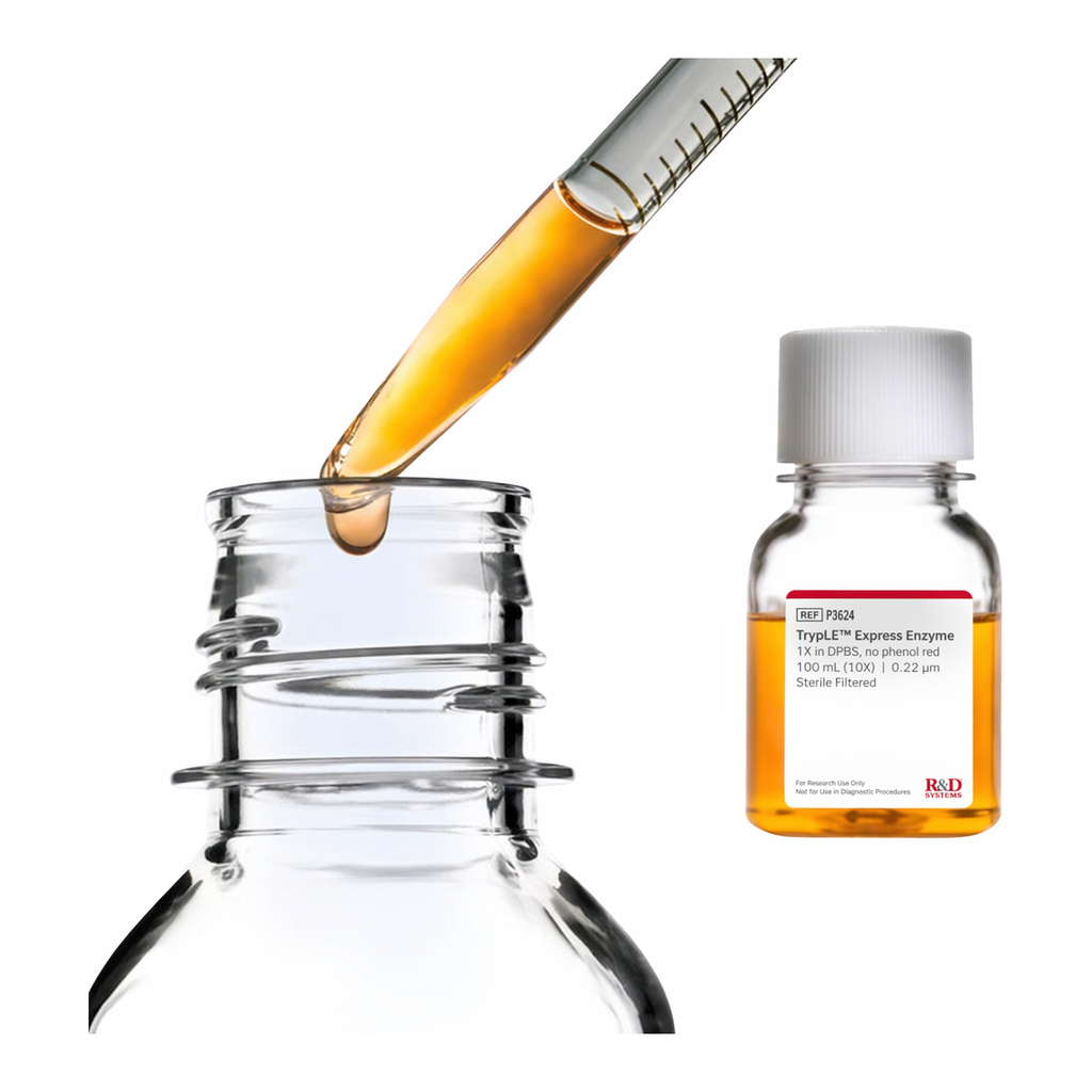 Merck Fetal Bovine Serum