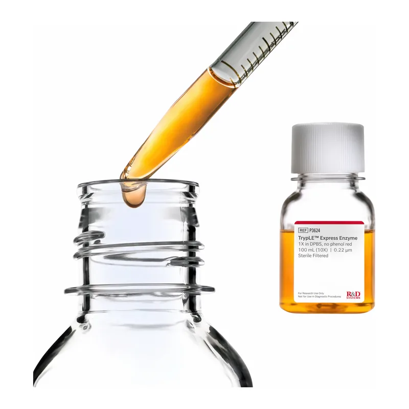 Merck Fetal Bovine Serum