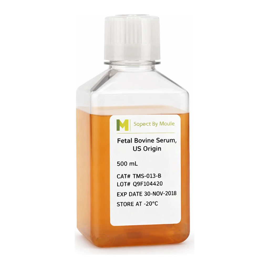 Merck Fetal Bovine Serum