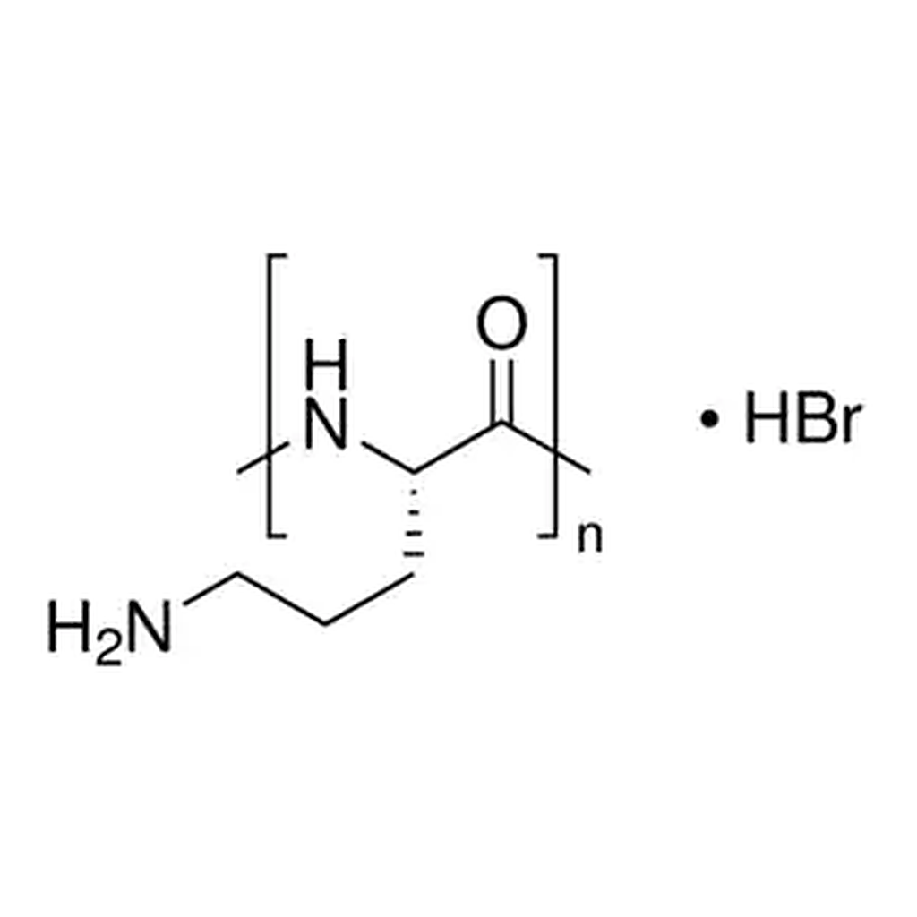 Merck Poly-L-ornithine solution