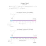 Merck Collagen from human placenta