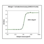 Merck Nidogen-1 (NID1) human