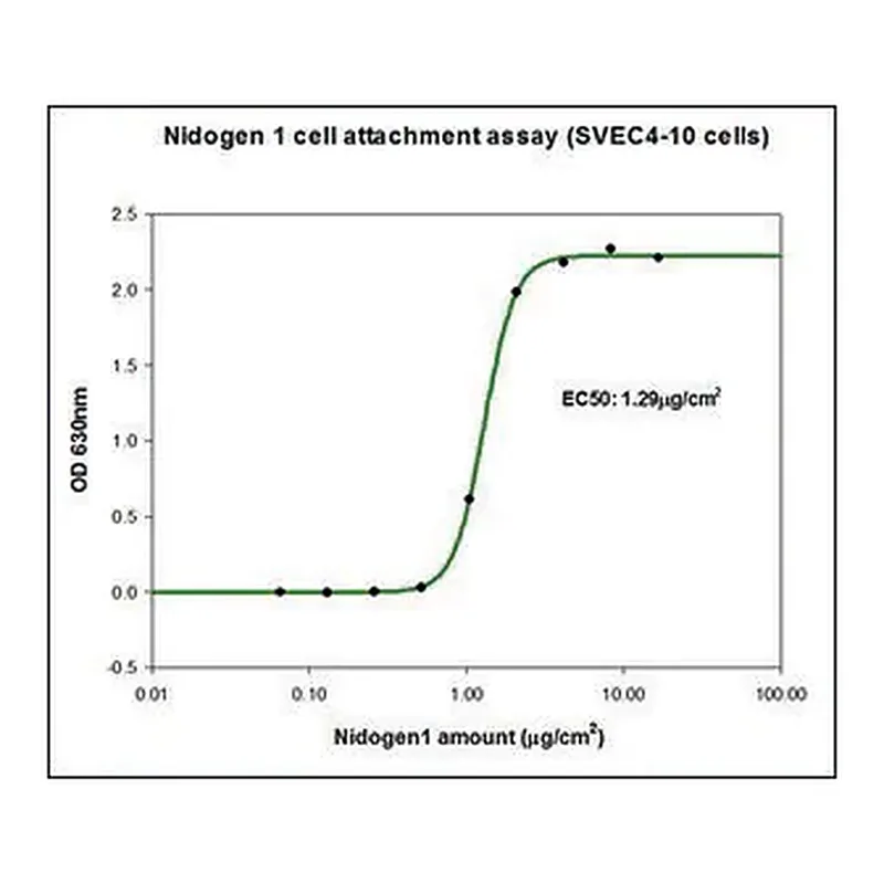 Merck Nidogen-1 (NID1) human