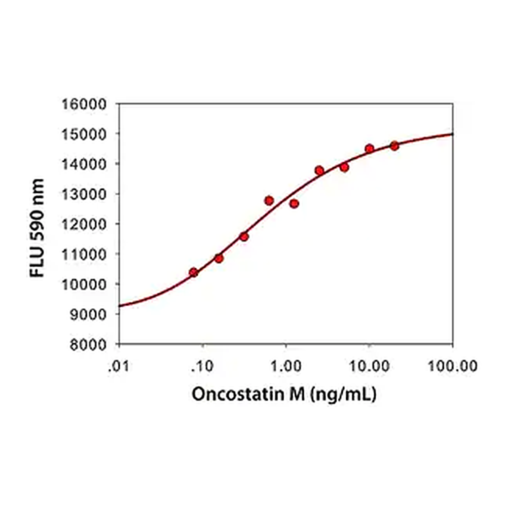 Merck Oncostatin M human