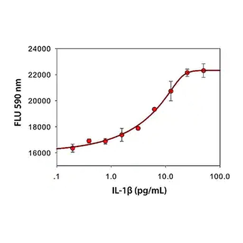Merck Interleukin-1β from mouse