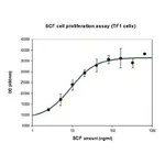 Merck Stem Cell Factor human