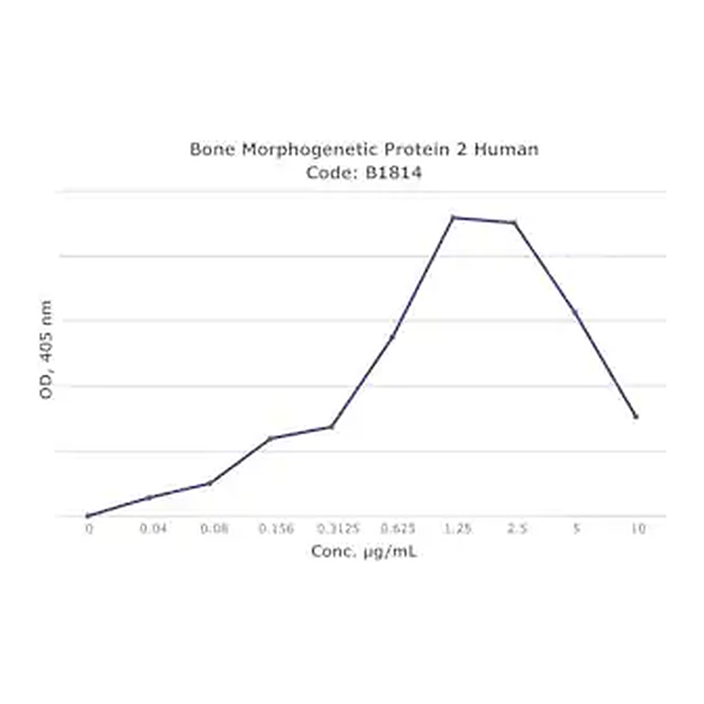 Merck Bone Morphogenetic Protein 2 human