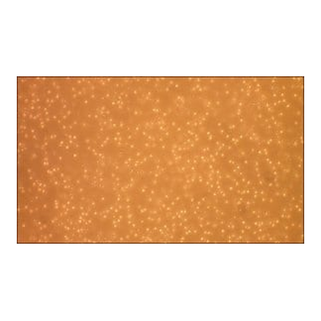 Merck Human Peripheral Blood Monocytes: HPBM