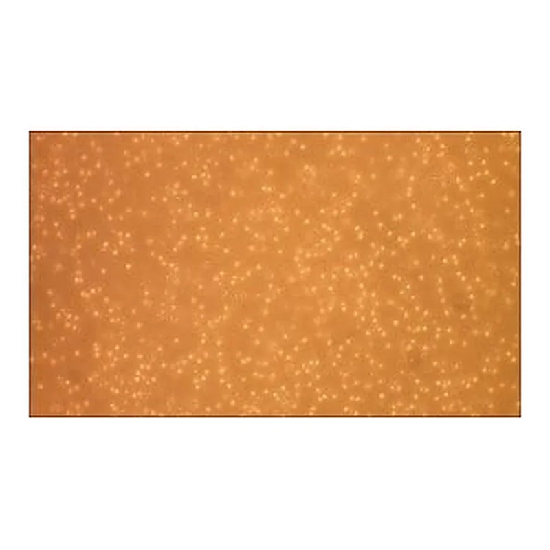 Merck Human Peripheral Blood Monocytes: HPBM