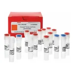 Merck CompoZr Knockout ZFN Kit- CHO SLC35A1
