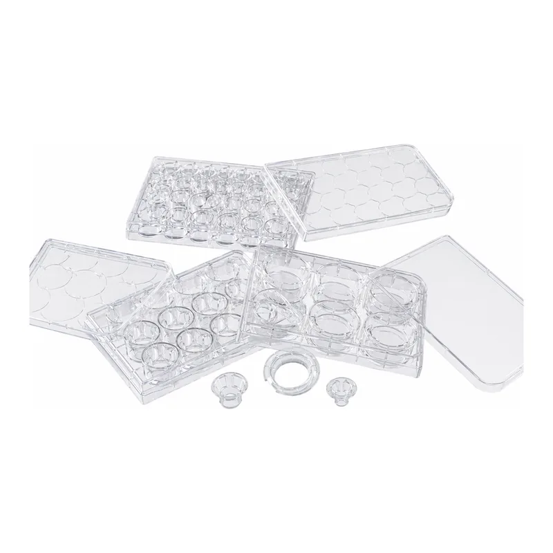 Merck Corning Costar Transwell cell culture inserts